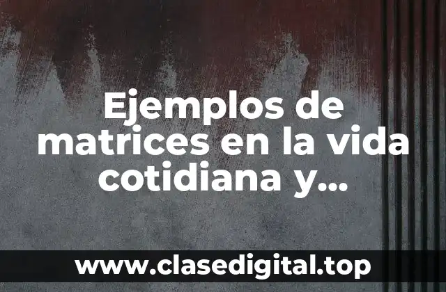 Ejemplos de matrices en la vida cotidiana y Significado