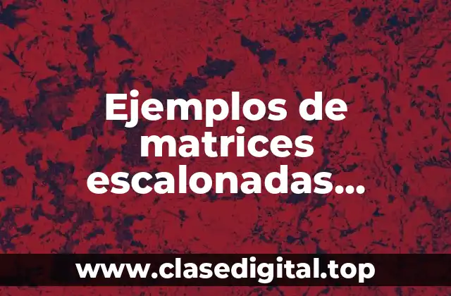 Ejemplos de matrices escalonadas reducidas y Significado
