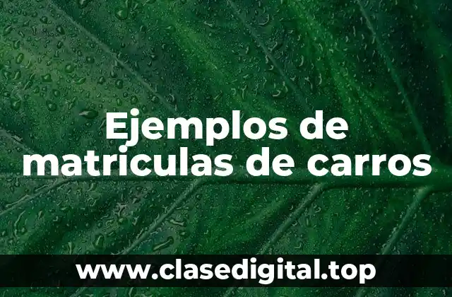 Ejemplos de matriculas de carros