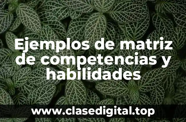 Ejemplos de matriz de competencias y habilidades