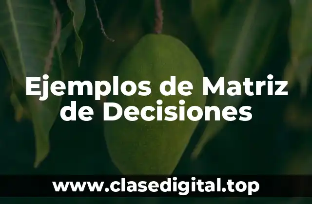 Ejemplos de Matriz de Decisiones