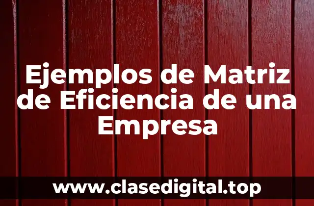 Ejemplos de Matriz de Eficiencia de una Empresa