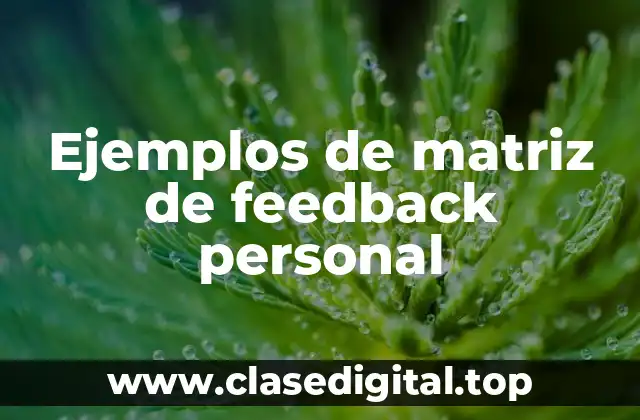 Ejemplos de matriz de feedback personal