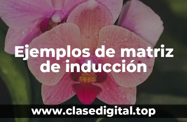 Ejemplos de matriz de inducción