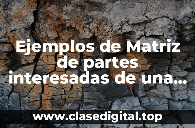 Ejemplos de Matriz de partes interesadas de una empresa