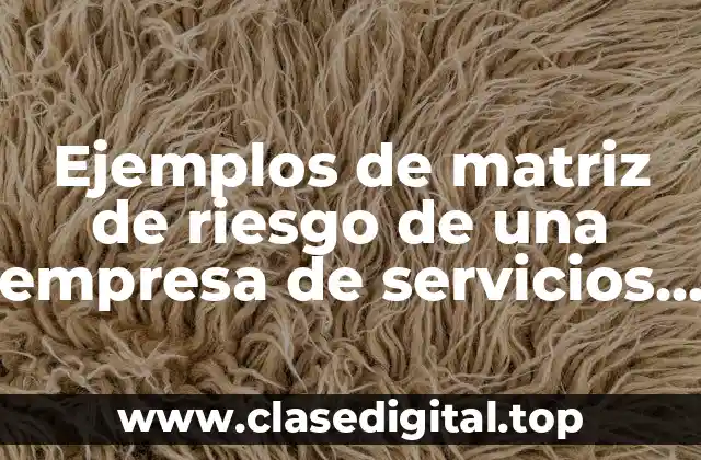 Ejemplos de matriz de riesgo de una empresa de servicios y Significado