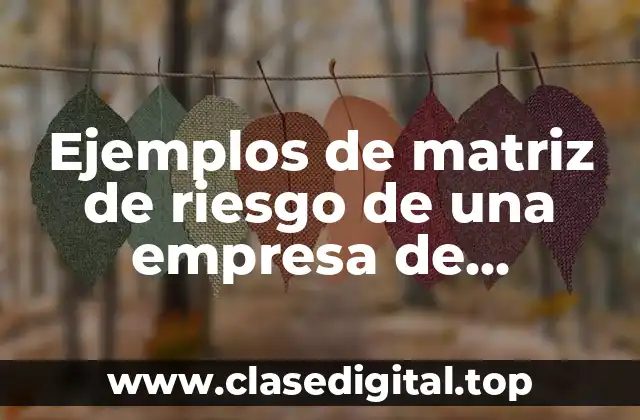 Ejemplos de matriz de riesgo de una empresa de transporte