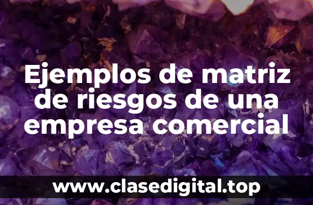 Ejemplos de matriz de riesgos de una empresa comercial