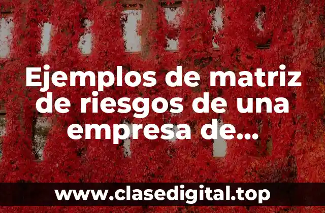Ejemplos de matriz de riesgos de una empresa de transporte