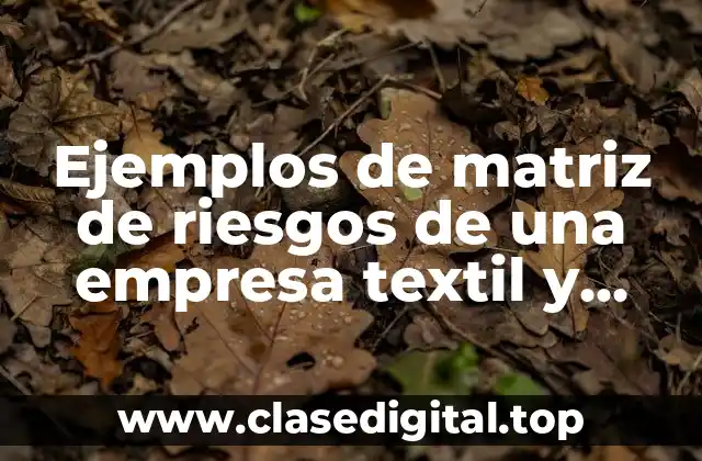 Ejemplos de matriz de riesgos de una empresa textil