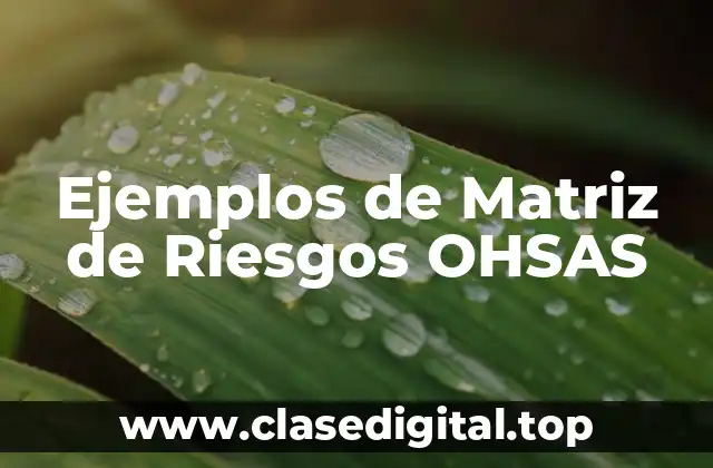 Ejemplos de Matriz de Riesgos OHSAS