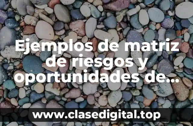 Ejemplos de matriz de riesgos y oportunidades de una empresa
