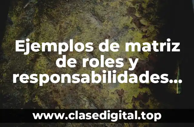 Ejemplos de matriz de roles y responsabilidades de un proyecto