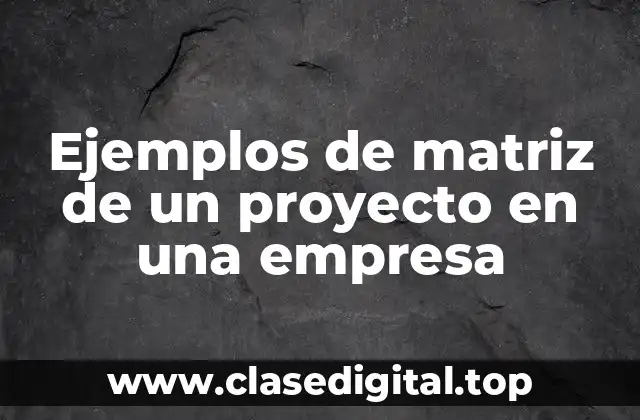 Ejemplos de matriz de un proyecto en una empresa