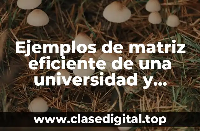Ejemplos de matriz eficiente de una universidad y Significado