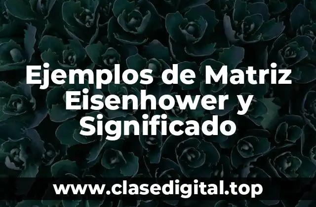 Ejemplos de Matriz Eisenhower y Significado