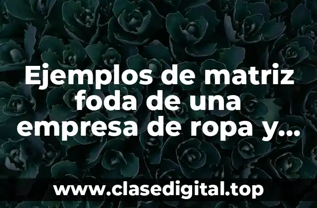 Ejemplos de matriz foda de una empresa de ropa y Significado