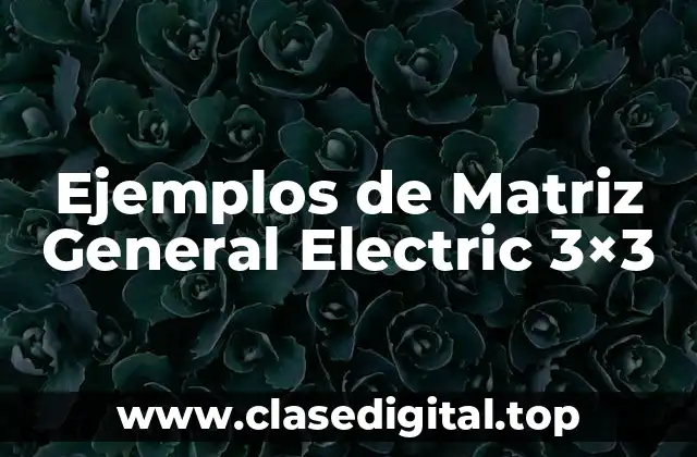Ejemplos de Matriz General Electric 3×3