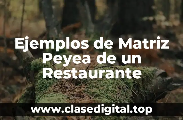 Ejemplos de Matriz Peyea de un Restaurante
