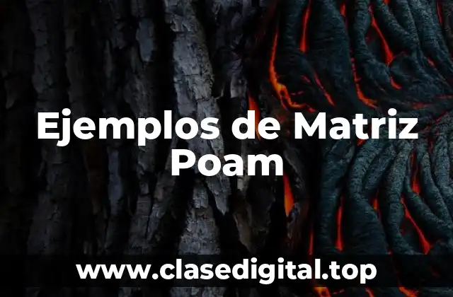 Ejemplos de Matriz Poam