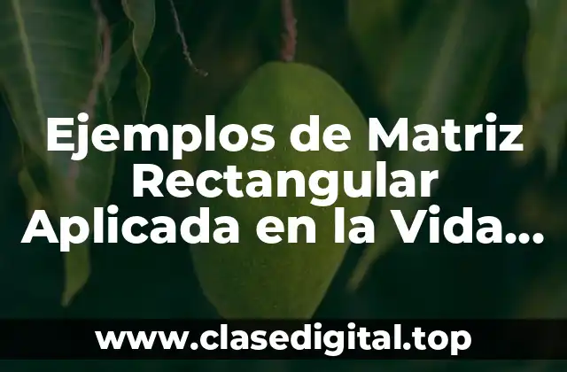 Ejemplos de Matriz Rectangular Aplicada en la Vida Real