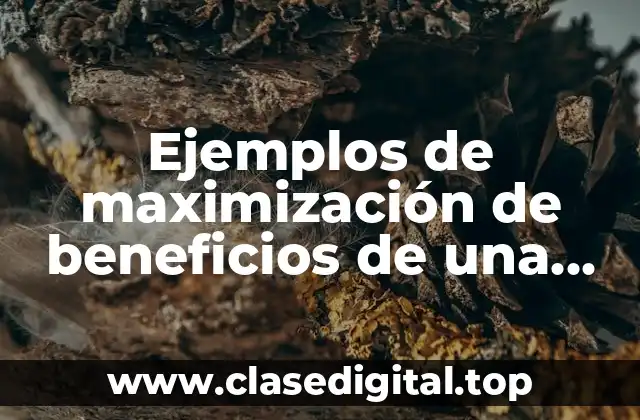 Ejemplos de maximización de beneficios de una empresa
