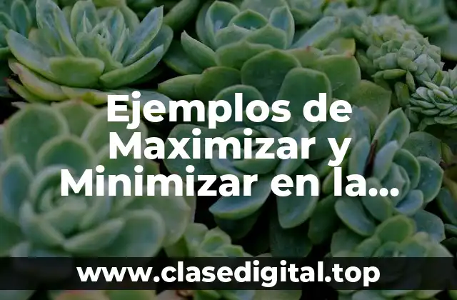 Ejemplos de Maximizar y Minimizar en la función lineal