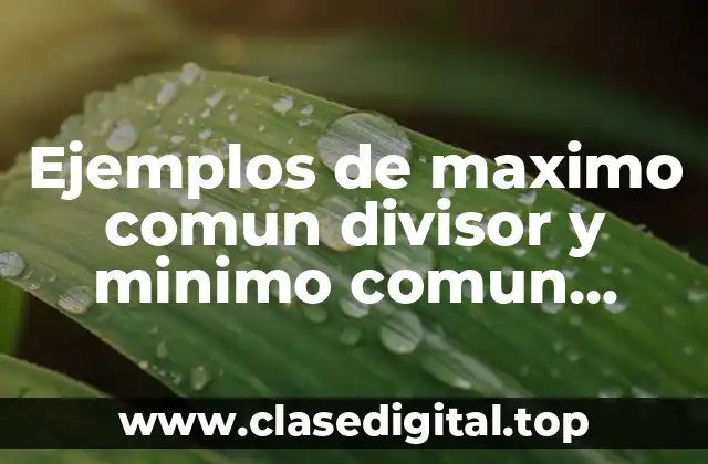 Ejemplos de maximo comun divisor y minimo comun multiplo y Significado