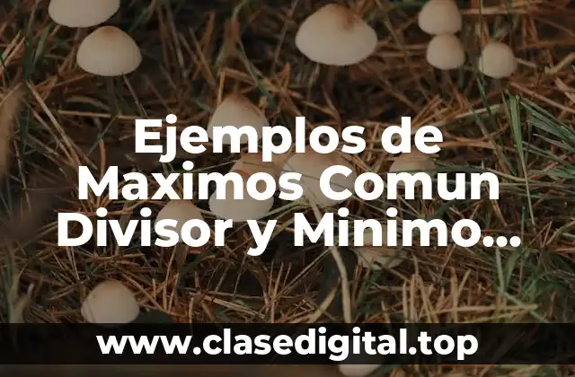 Ejemplos de Maximos Comun Divisor y Minimo Comun Multiplo
