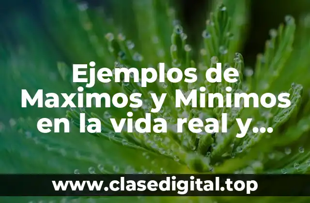 Ejemplos de Maximos y Minimos