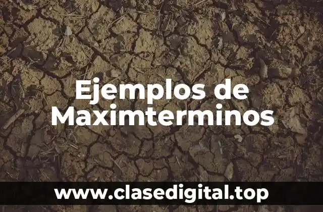 Ejemplos de Maximterminos
