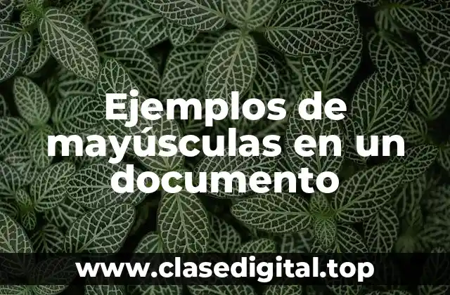 Ejemplos de mayúsculas en un documento