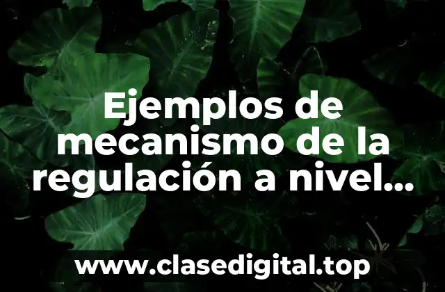 Ejemplos de mecanismo de la regulación a nivel celular