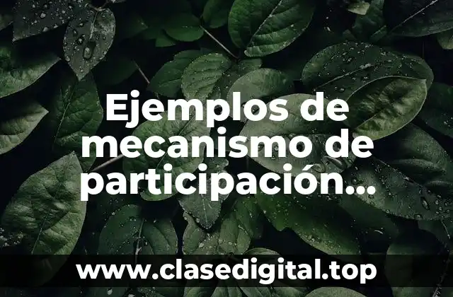 Ejemplos de mecanismo de participación ciudadana y Significado