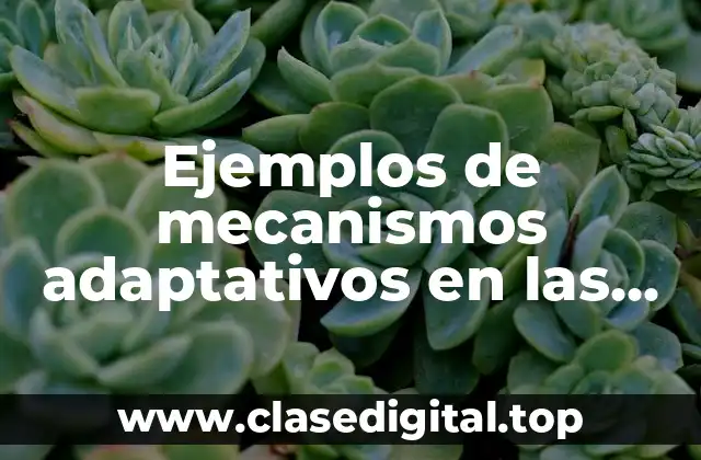 Ejemplos de mecanismos adaptativos en las plantas y los animales