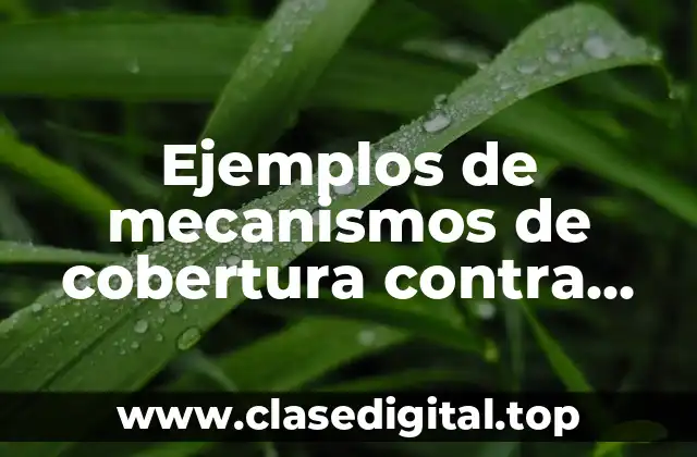 Ejemplos de mecanismos de cobertura contra riesgos de cobro