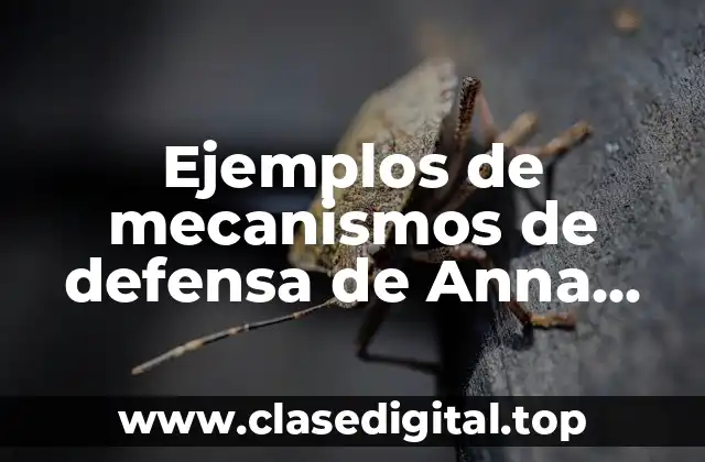Ejemplos de mecanismos de defensa de Anna Freud