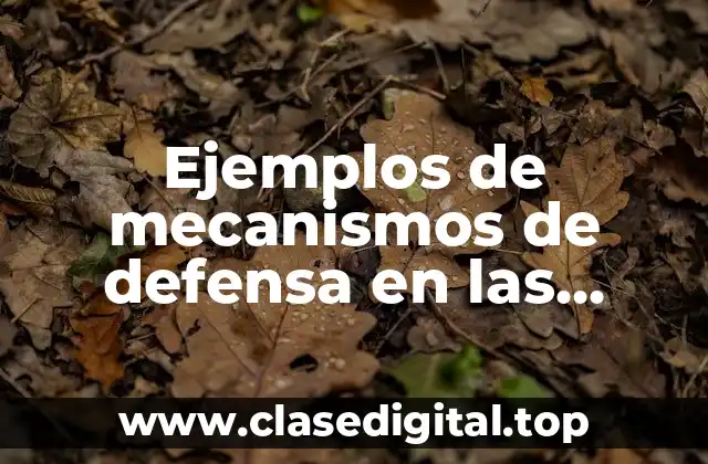 Ejemplos de mecanismos de defensa en las personalidades sociópatas