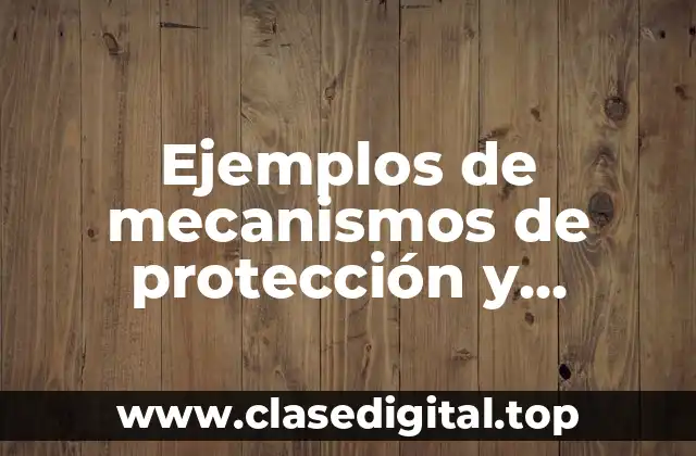 Ejemplos de mecanismos de protección y Significado