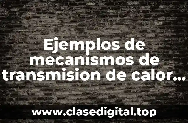 Ejemplos de mecanismos de transmision de calor y Significado