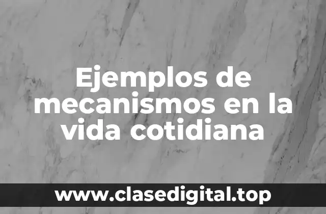 Ejemplos de mecanismos
