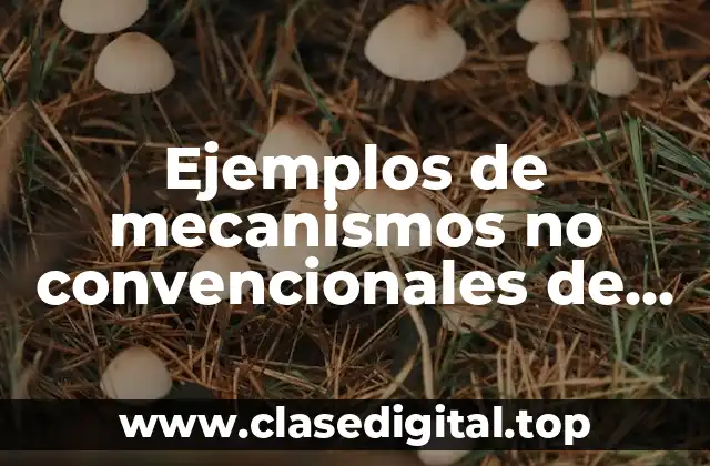 Ejemplos de mecanismos no convencionales de los derechos humanos