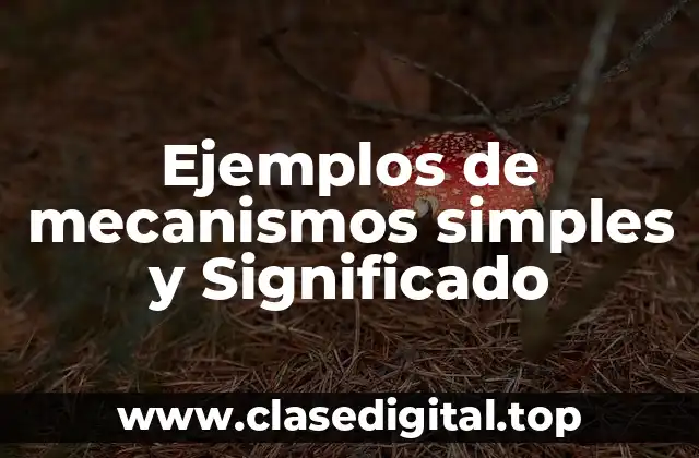 Ejemplos de mecanismos simples y Significado