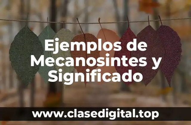 Ejemplos de Mecanosintes y Significado