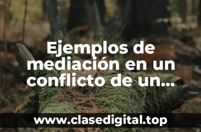 Ejemplos de mediación en un conflicto de un trabajo social