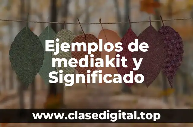 Ejemplos de mediakit y Significado
