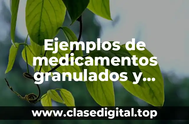 Ejemplos de medicamentos granulados y Significado
