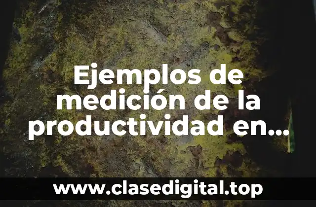Ejemplos de medición de la productividad en una empresa y Significado