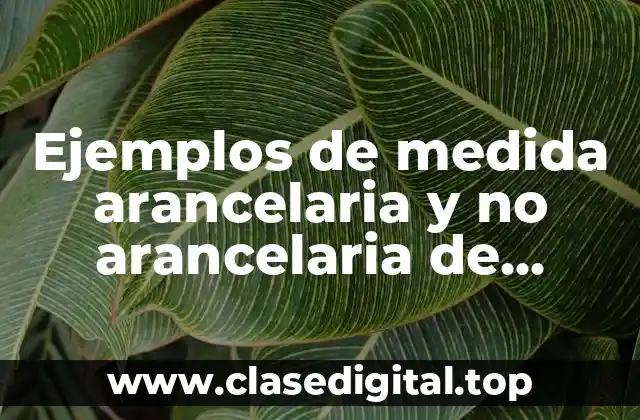 Ejemplos de medida arancelaria y no arancelaria de permisos previos