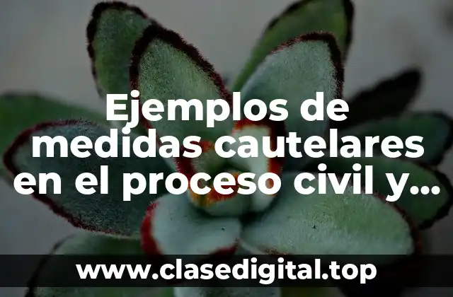 Ejemplos de medidas cautelares en el proceso civil y Significado
